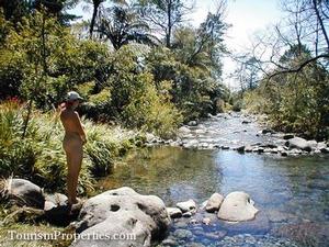 Highly successful, profitable and internationally renowned specialised naturist business sale